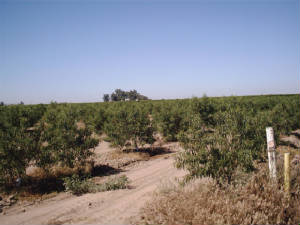 aaaa0093.jpg